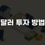달러 투자 방법