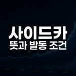 사이드카 뜻과 발동 조건