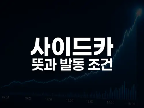 사이드카 뜻과 발동 조건