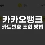 카카오뱅크 카드번호 조회 방법