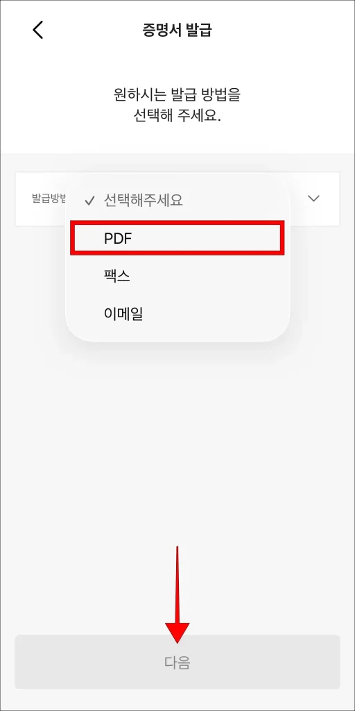 발급 방법으로 'PDF' 선택 후 '다음' 선택