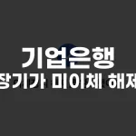 기업은행 장기간 미이체 해제