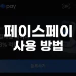 페이스페이 사용 방법