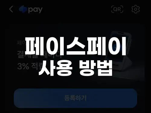 페이스페이 사용 방법