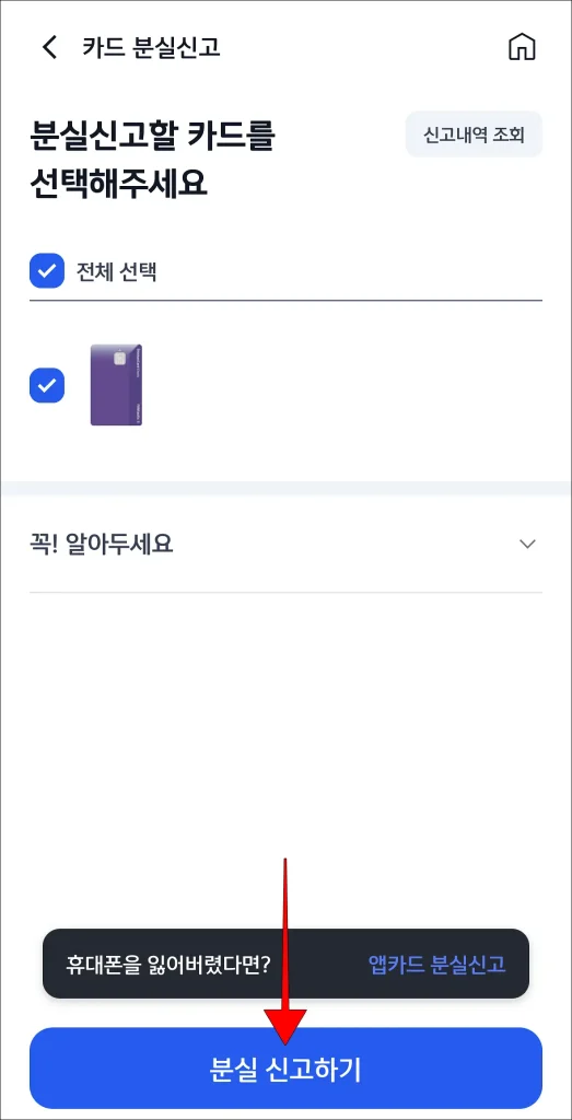 카드 선택 후 '분실신고하기' 선택